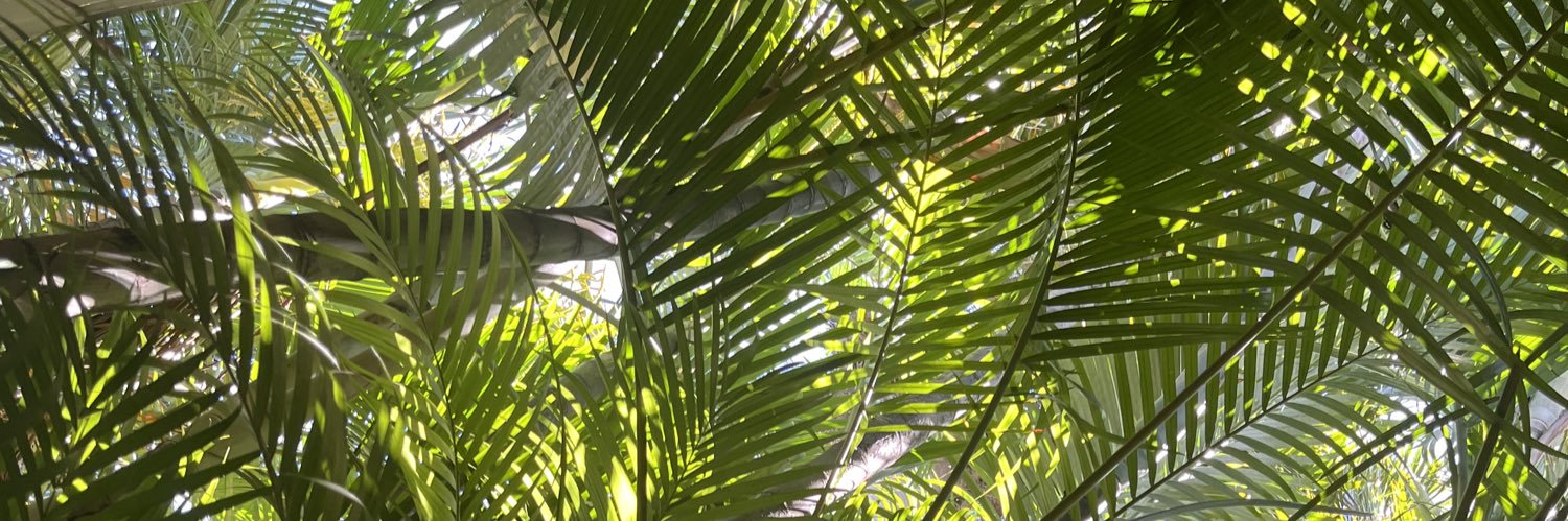 ramonandresb's profile banner image