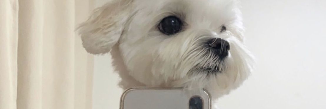 DelyzzaO's profile banner image