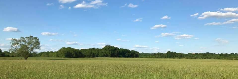 Friends of Shelby banner