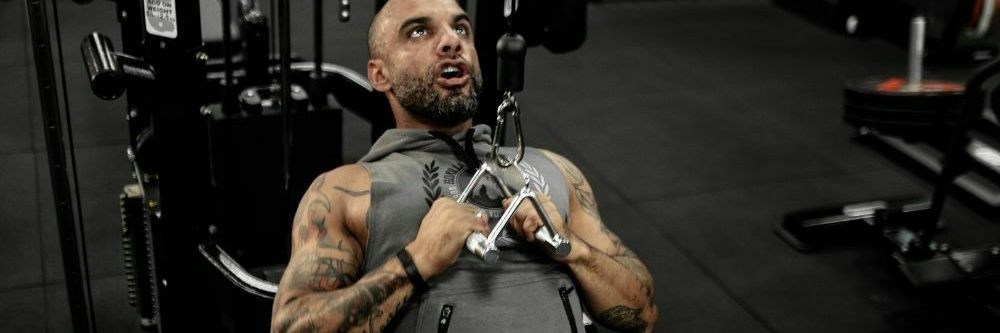 strivegymwear's profile banner image