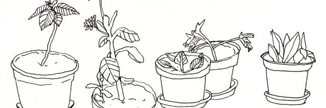 mary_renaud's profile banner image