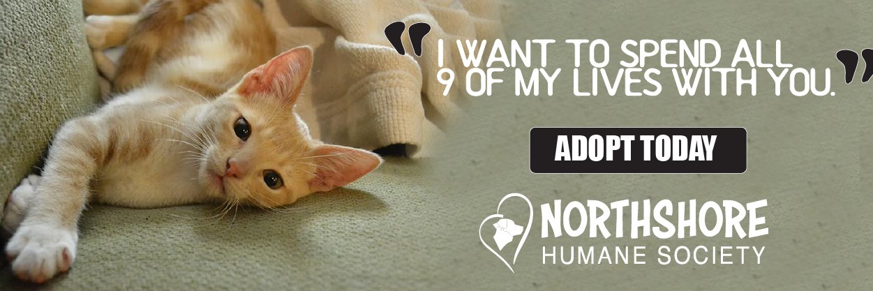 Northshore Humane Society banner