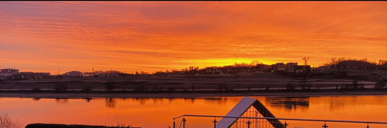 Beth Avery Foster banner
