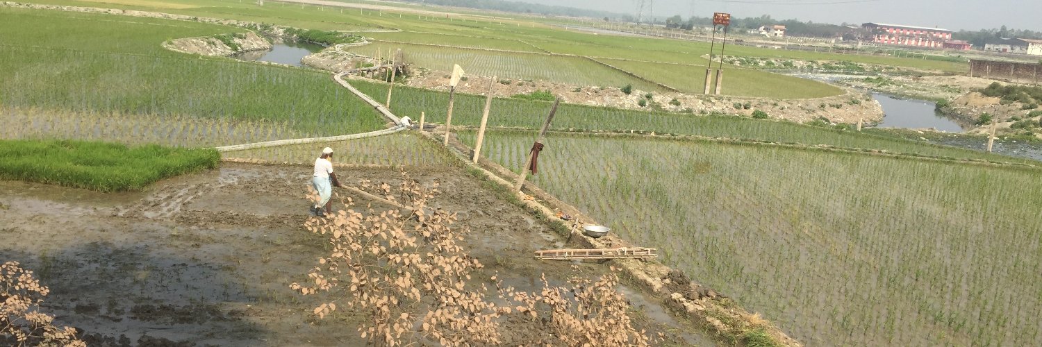 Bangladesh Environment Network (BEN) banner