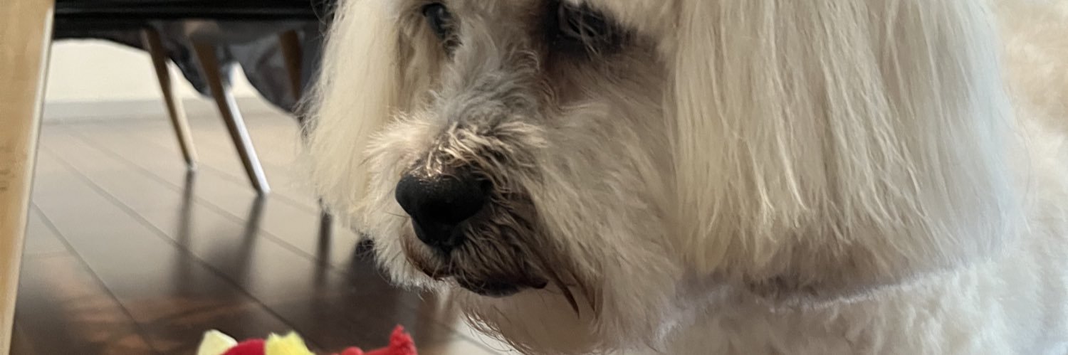 colyfritz's profile banner image