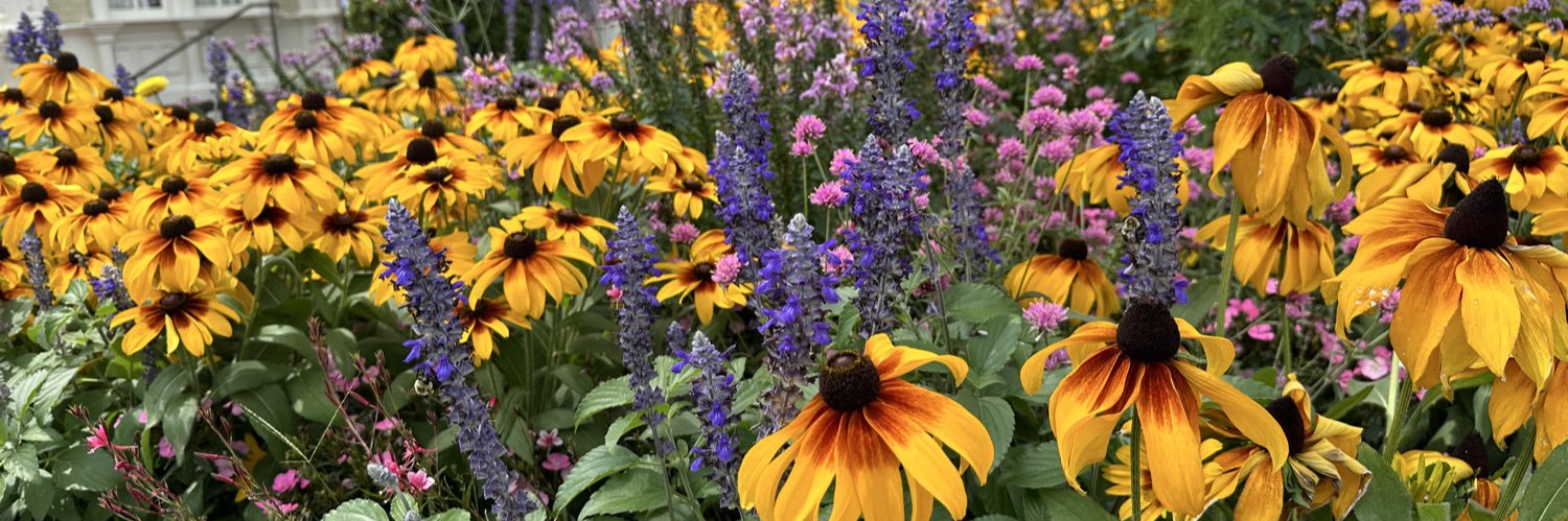 peanutbees's profile banner image