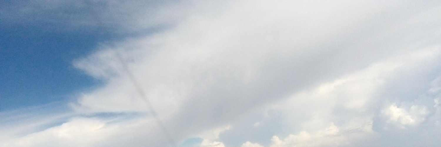 Nazi83872280's profile banner image