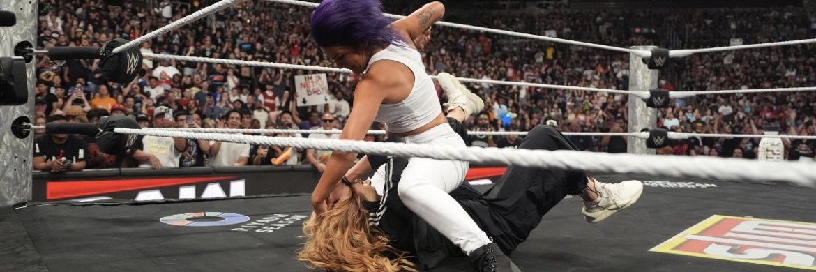 SuplexRose's profile banner image