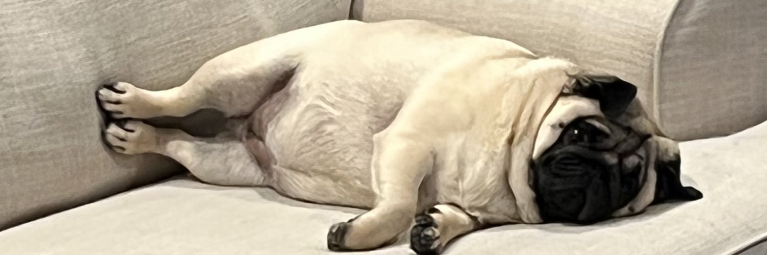 Kirsti  banner