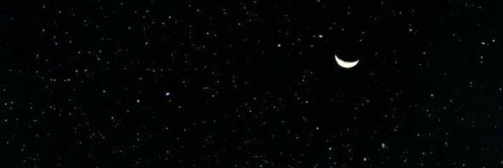 ____Ivyy's profile banner image