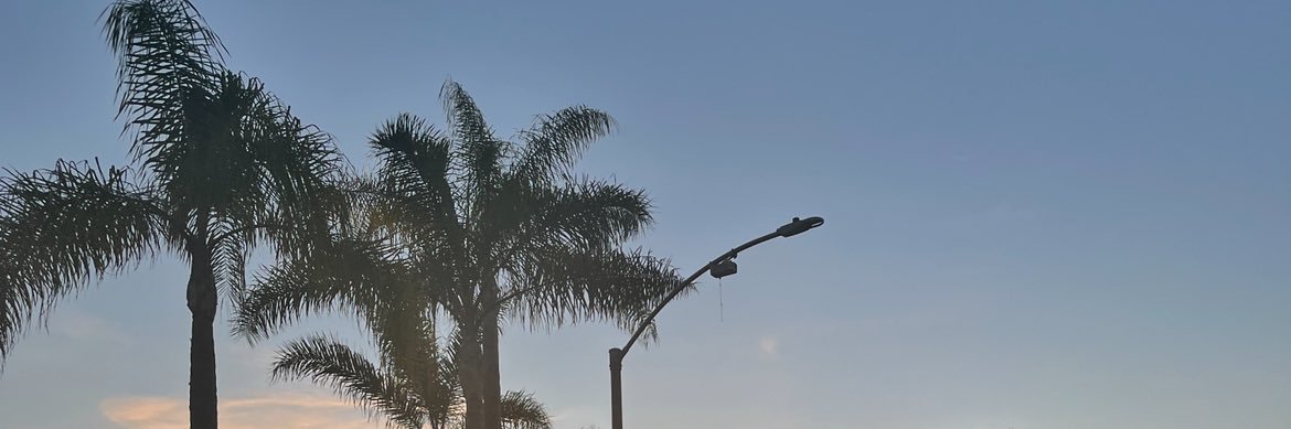 danny banner