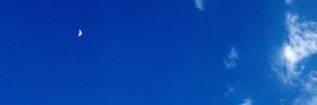 roah2000's profile banner image