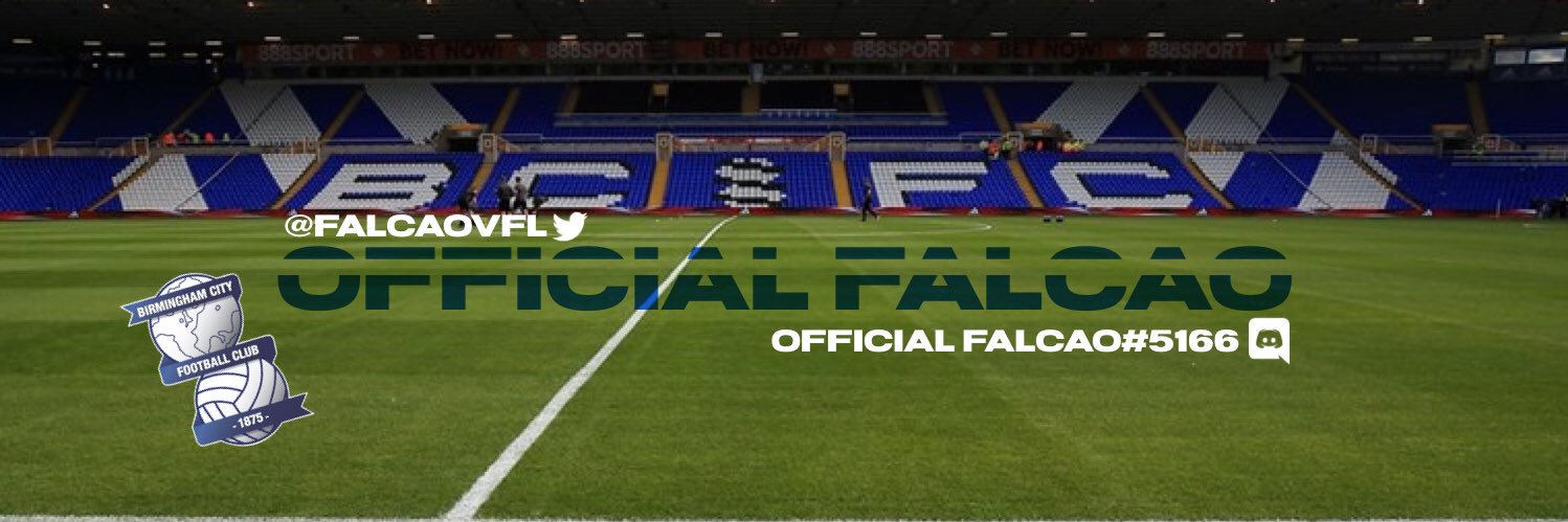 Vfl Official Falcao banner