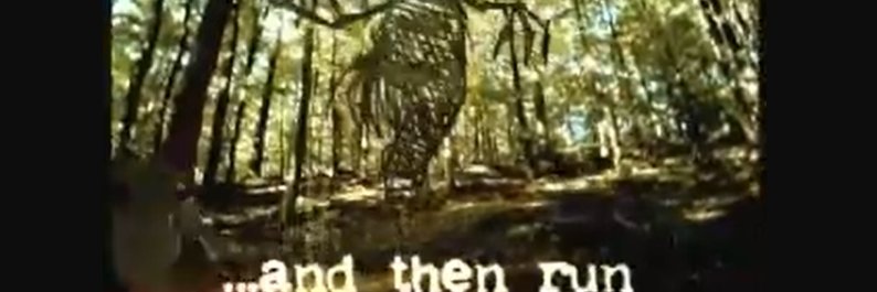 TheLastHibernian banner