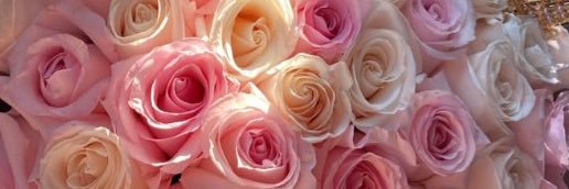 Brianna ♡ banner