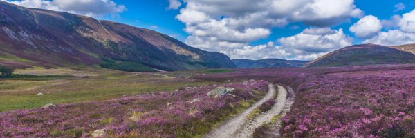 GraemeDeyMSP Profile Banner