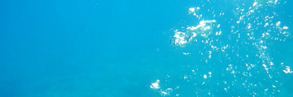 nesco Profile Banner