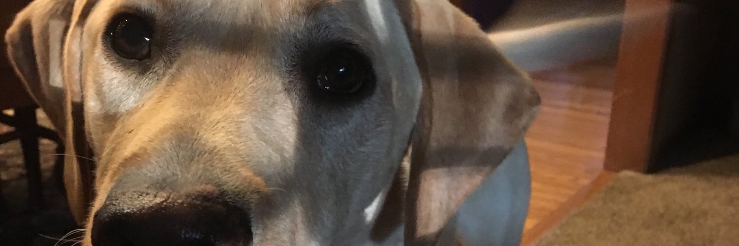 JDoug10's profile banner image