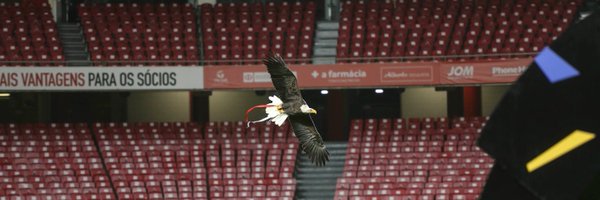 SLBenfic Profile Banner