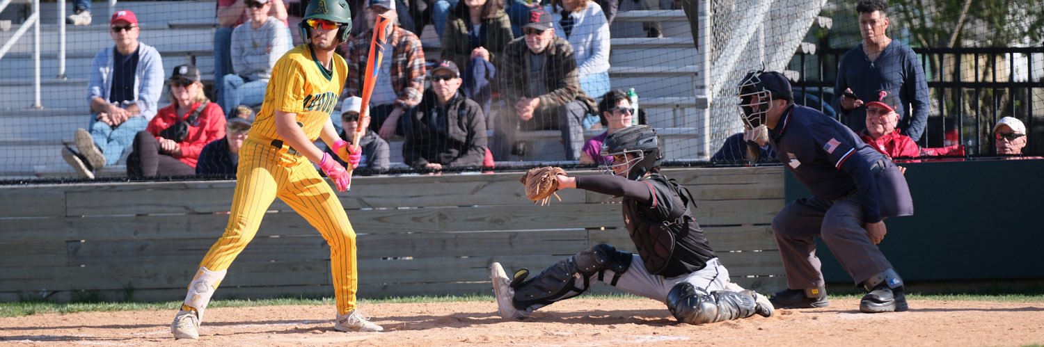 Timothy Bowman banner