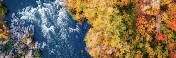 YiLinMDPhD Profile Banner