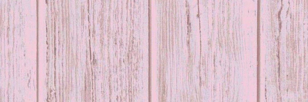 Shopkinsrule100 banner