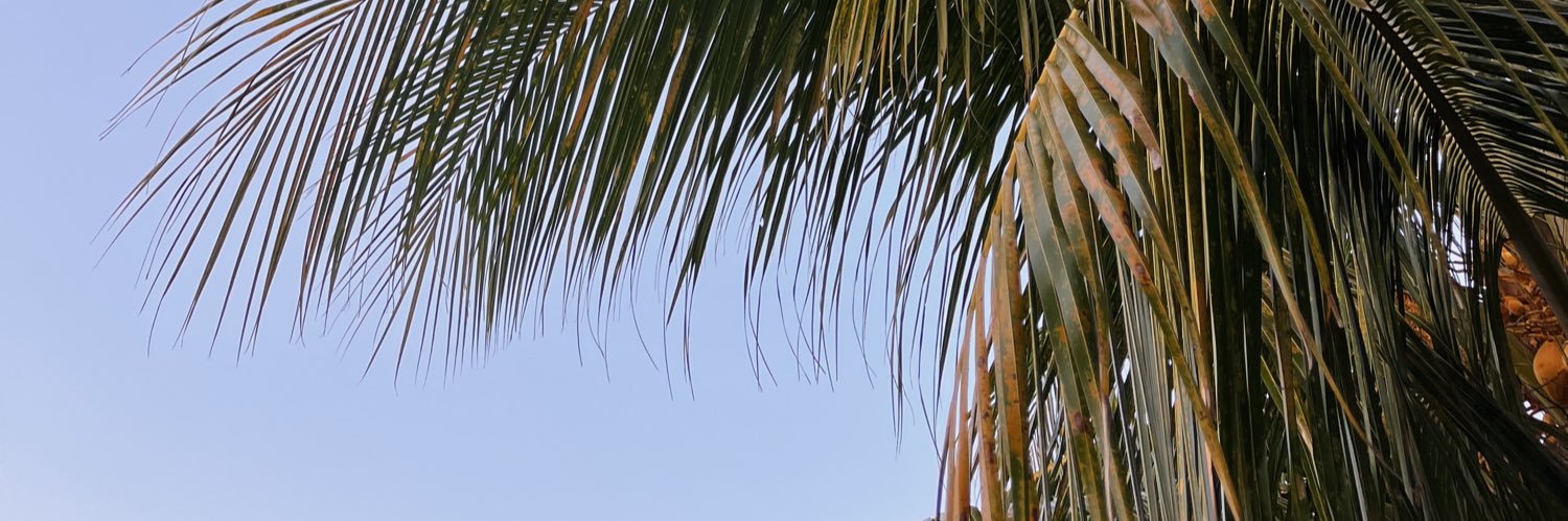 MaVictoriaDiaz's profile banner image