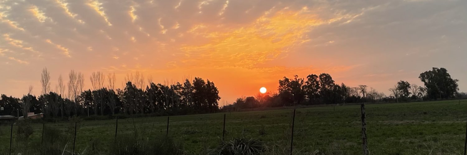 Ferrmartin_'s profile banner image