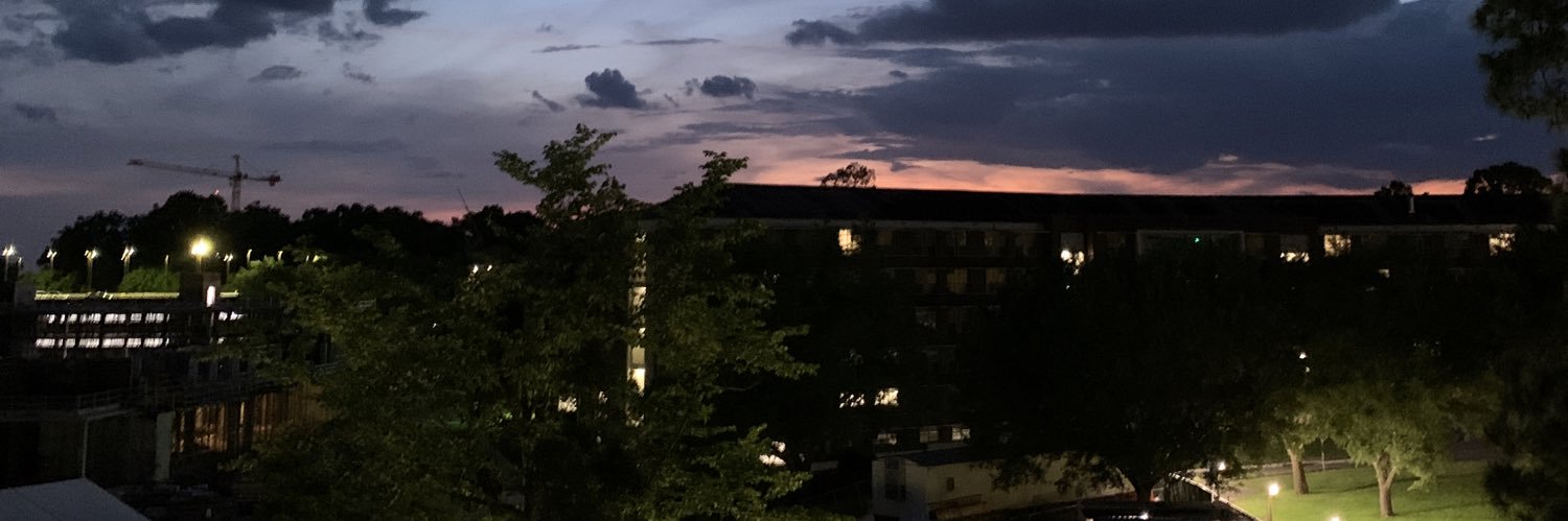 robnsonsophia's profile banner image