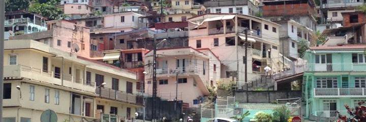 Dr. Deirdre Lyons banner