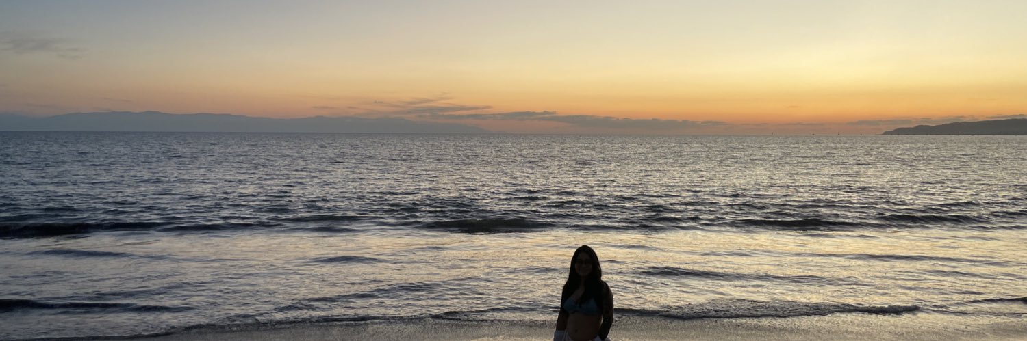 decirmechapis's profile banner image