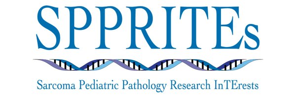 SPPRITEs Profile Banner