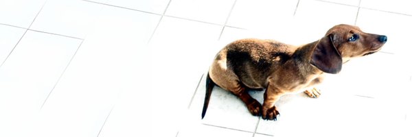 luismanuelpaz Profile Banner