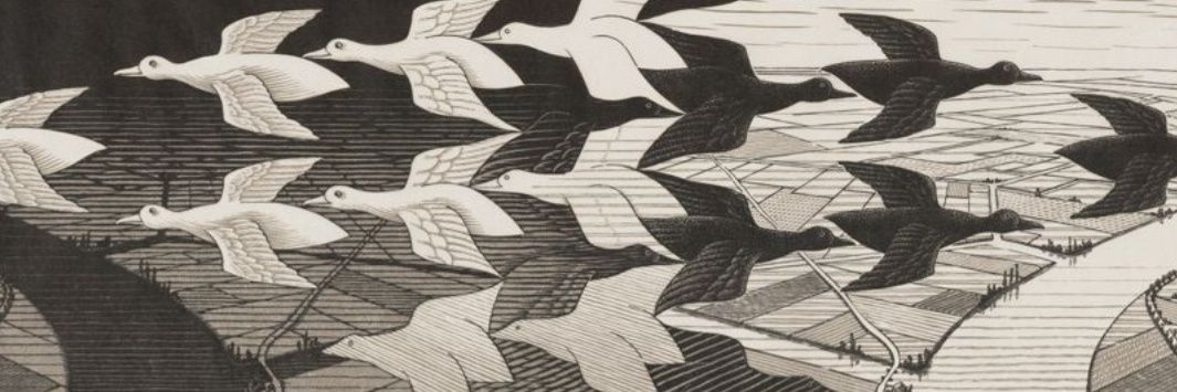 Paradigm Market Research Inc. banner