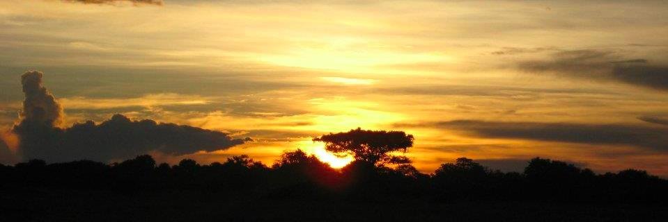 LauraQureshi's profile banner image