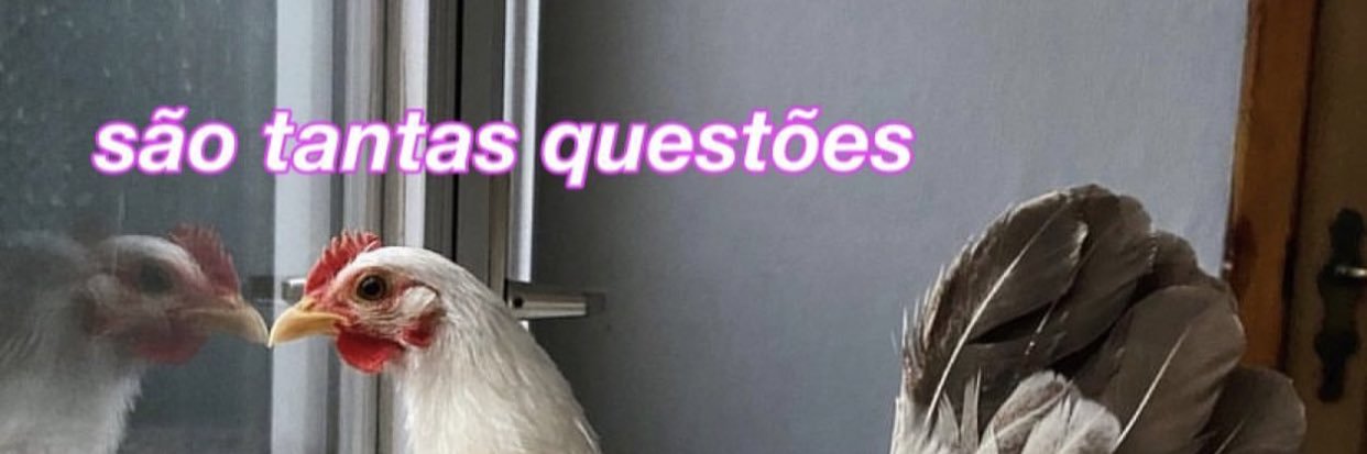 thaynasilvas_'s profile banner image