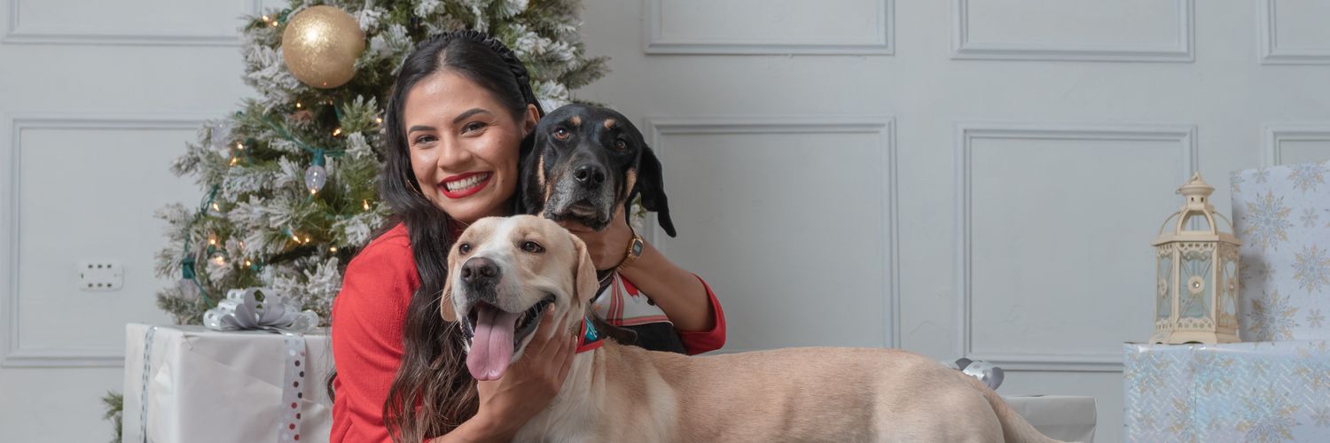 arleneafelix's profile banner image