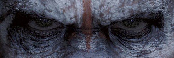 MylesKBerry1 Profile Banner