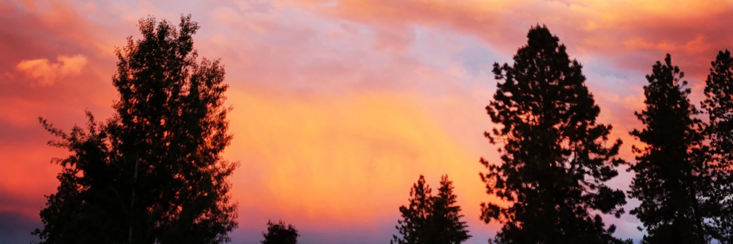 Jeff99217's profile banner image