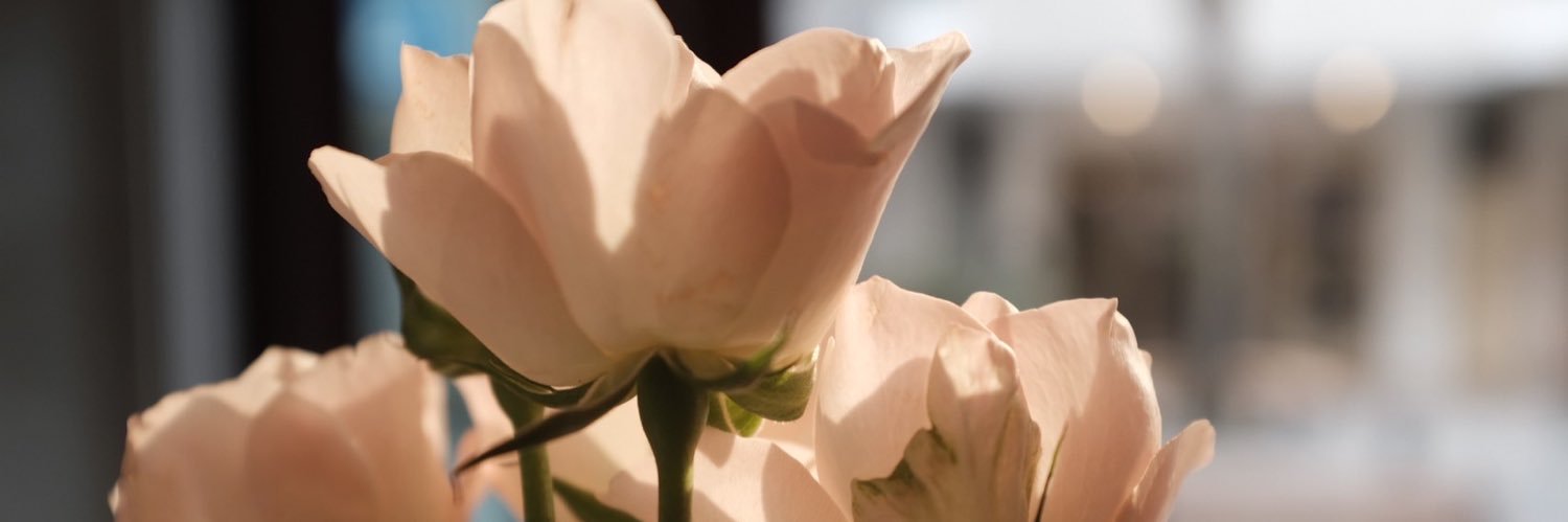 tmmk0's profile banner image