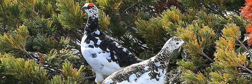 terry3691's profile banner image