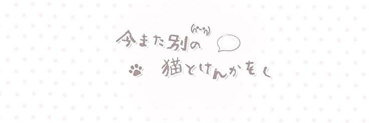 vbreril's profile banner image