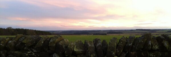 willorde Profile Banner