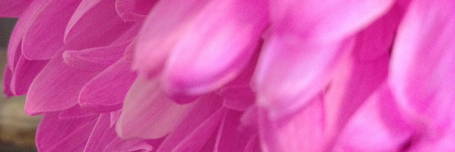 MALABUBLOSSOM's profile banner image