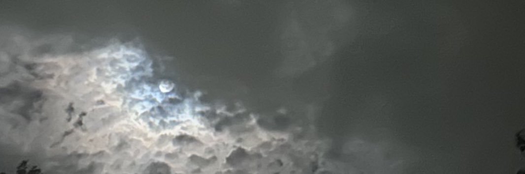 priscilla_c__'s profile banner image