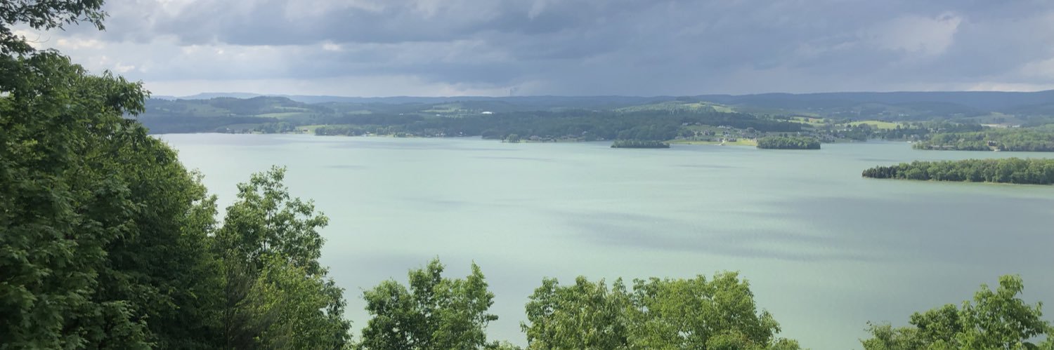 Miranda Francis banner