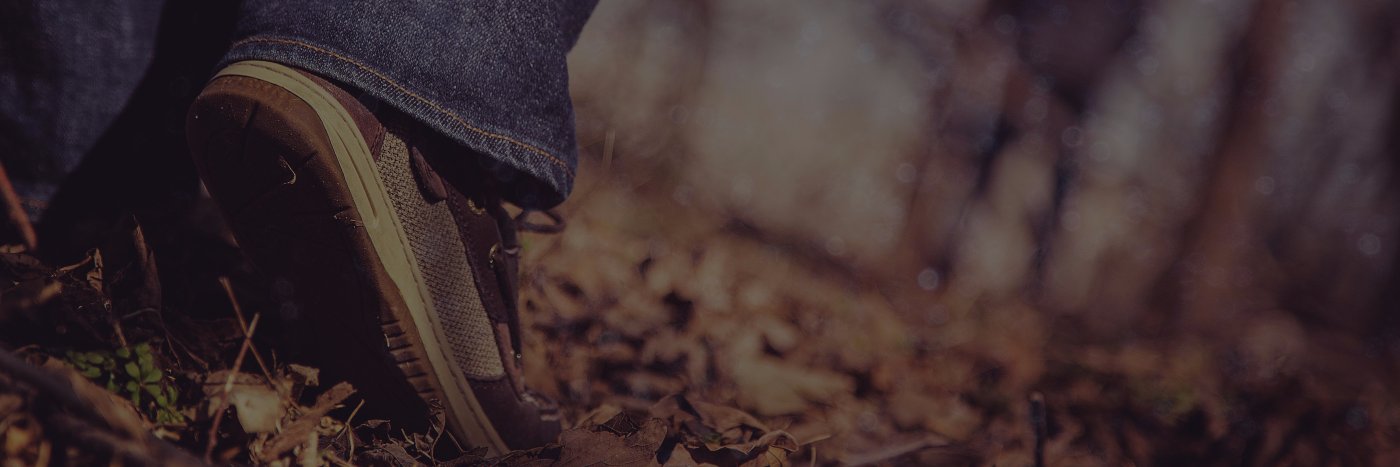 daily_walk's profile banner image