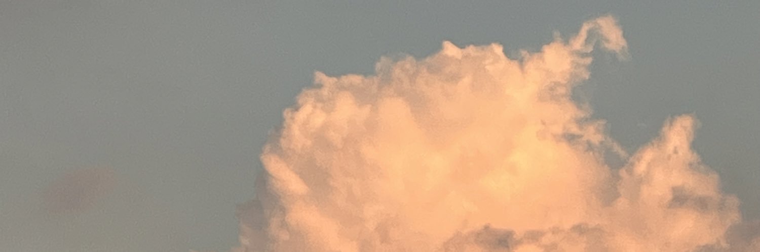 suantou6's profile banner image