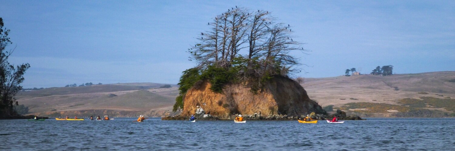 LisaKayaks's profile banner image
