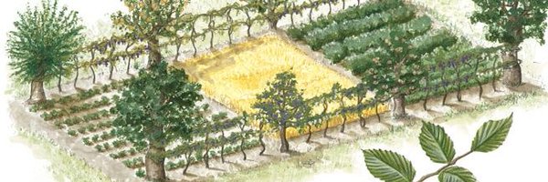 RhECAST_Project Profile Banner